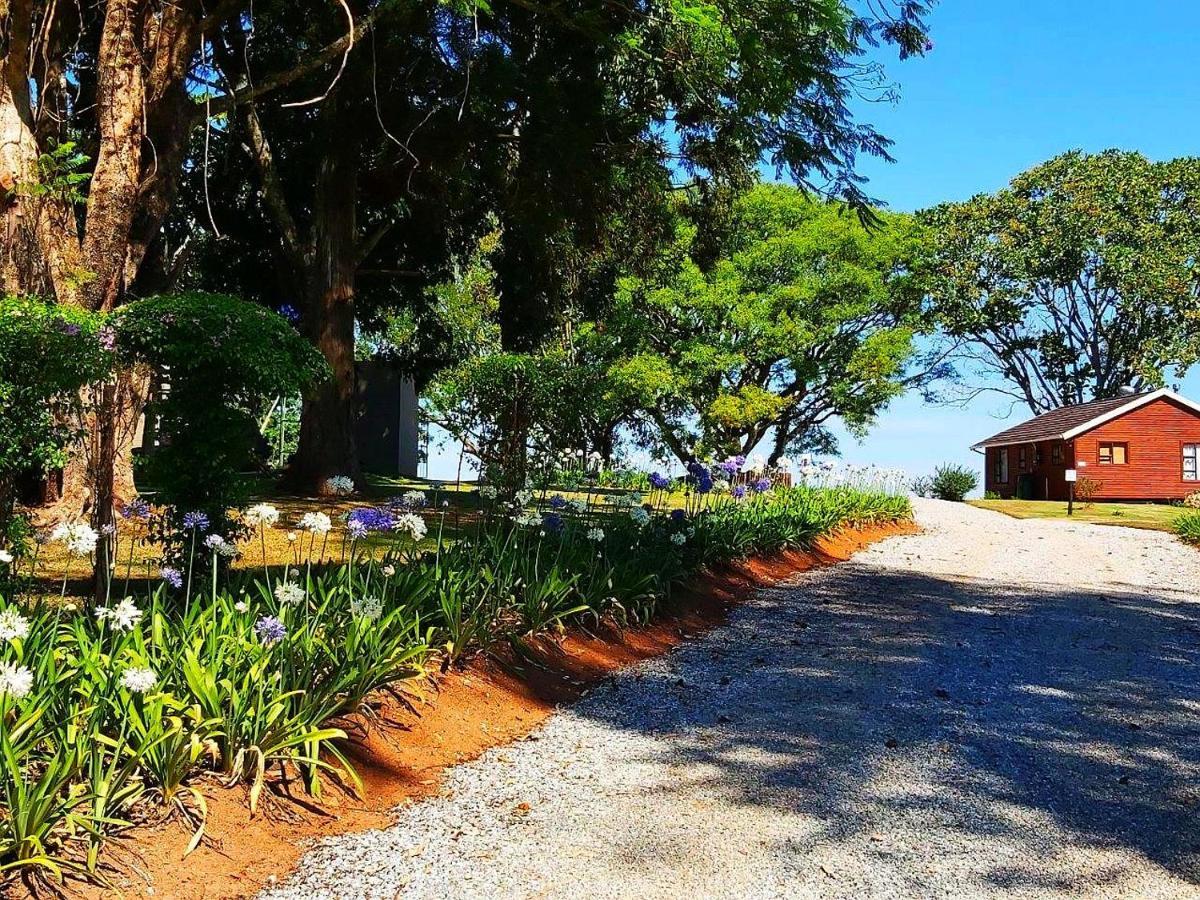 Forest View Cabins Tzaneen Exteriér fotografie