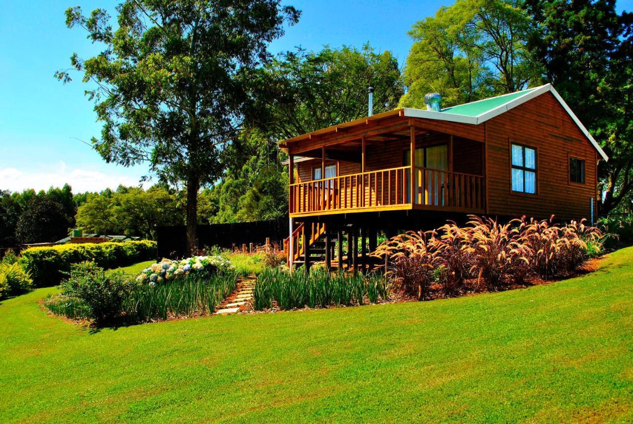 Forest View Cabins Tzaneen Exteriér fotografie